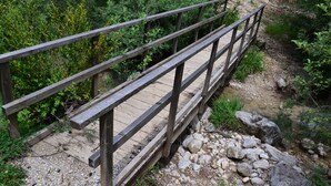 Een houten brug over een beek in een bebost gebied.