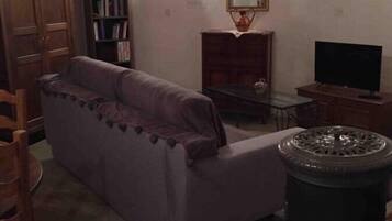 Télévision, cheminée, livres