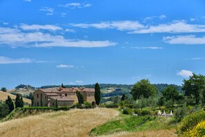 Exterior - Rosmarino - Estate Zampugna  (Torrita di Siena)
