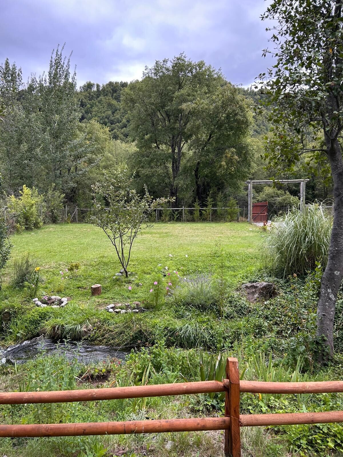 Imagen de perfil del propietario o de la propietaria