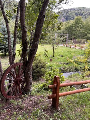 Property grounds - Beautiful Cabins 20 minutes from Ski resort Nevados de Chillan (La Invernada)