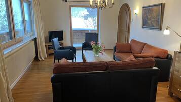 TV, video games, DVD player, books