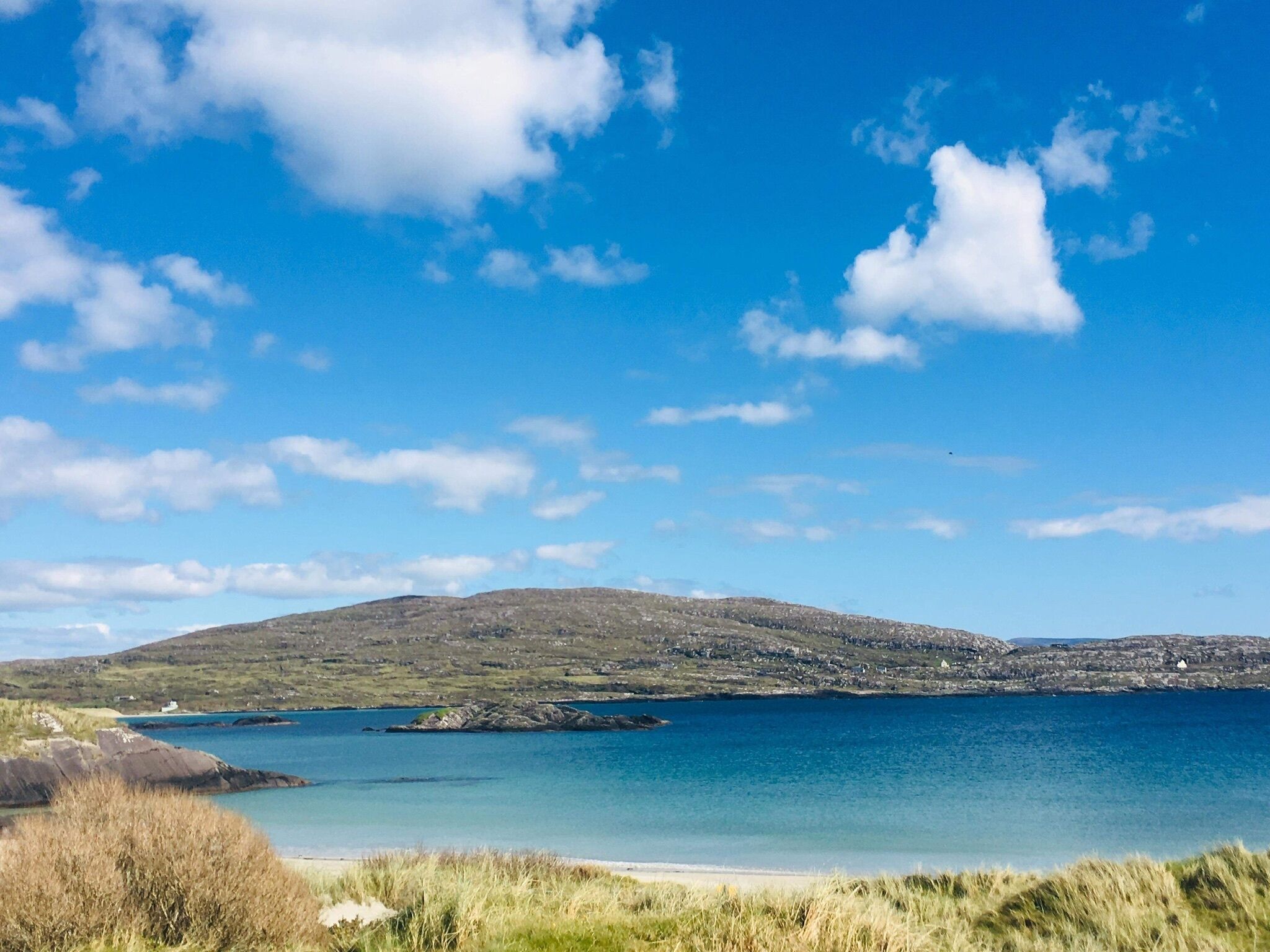 A coastal landscape with a clear sky, a calm sea, and a grassy foreground.