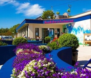 Exterior - Siobhan's Luxurious Cottage (Castlecove)