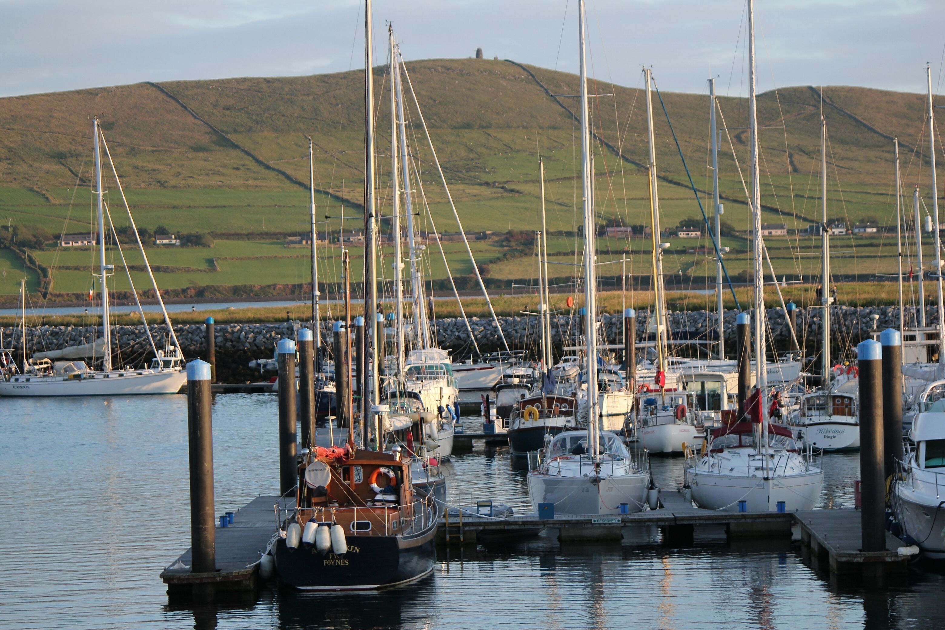 Boats moored in Dingle marina