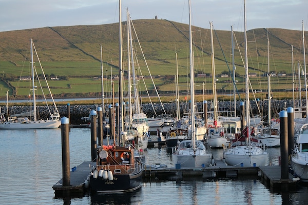 Boats moored in Dingle marina