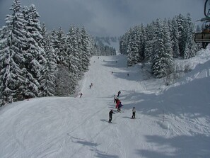 Snow and ski sports - Super equipped Studio Apartment with high speed internet (Samoëns)