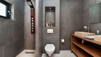 Combined shower/tub, hair dryer, towels, toilet paper