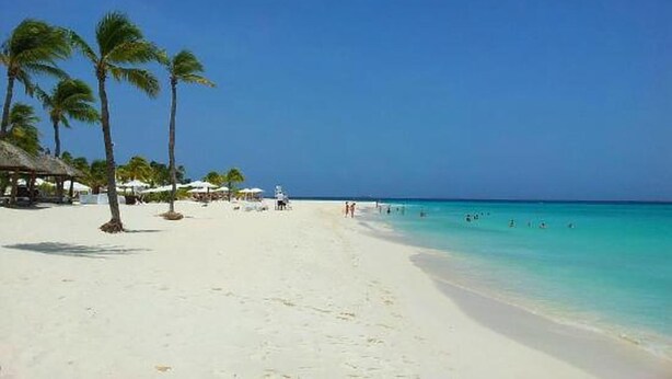 Ein Strand mit weißem Sand, Palmen und klarem, blauem Wasser.