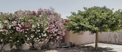 المنطقة المحيطة بالمنشأة