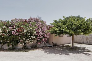 المنطقة المحيطة بالمنشأة