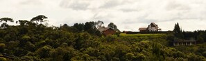 Perched on a hill, this hotel offers panoramic views of the surrounding forest.