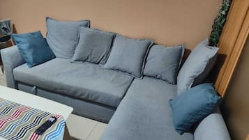 Smart TV, DVD player, books