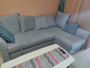 Smart TV, DVD player, books