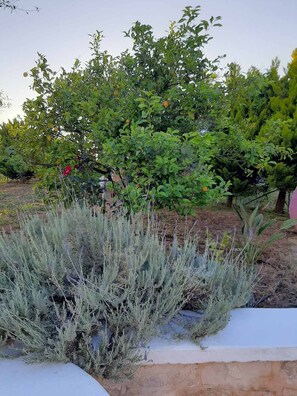 Overnatningsstedets område