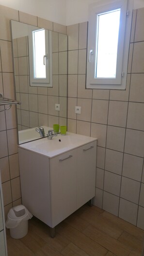 Shower, hair dryer - Gîte1-***clim-WIFI-heated pool-river 1km-beach 5km-ping-pong-pétanque (Galéria)