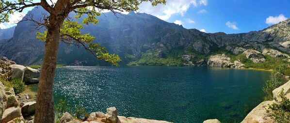 Un paisaje montañoso con un lago tranquilo, terreno rocoso y un árbol en primer plano.
