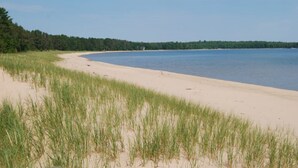 A beach with sand and grassy dunes, a clear sky, and a forest in the background.