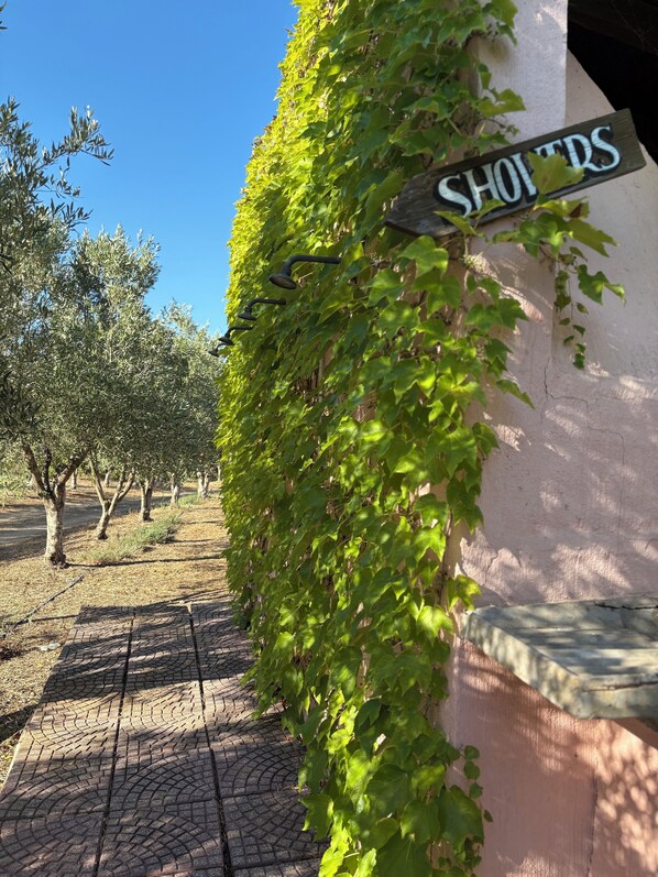 Un letrero con la palabra 'SHOFTS' sobre una pared cubierta de hiedra verde.