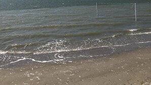 Une plage avec un filet de volley-ball, une mer calme et un ciel dégagé.