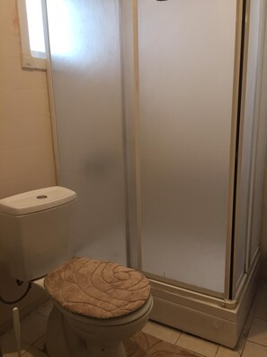Shower, hair dryer