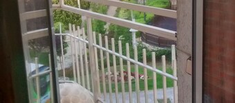 Central apartment 20 minutes from Madrid with wifi