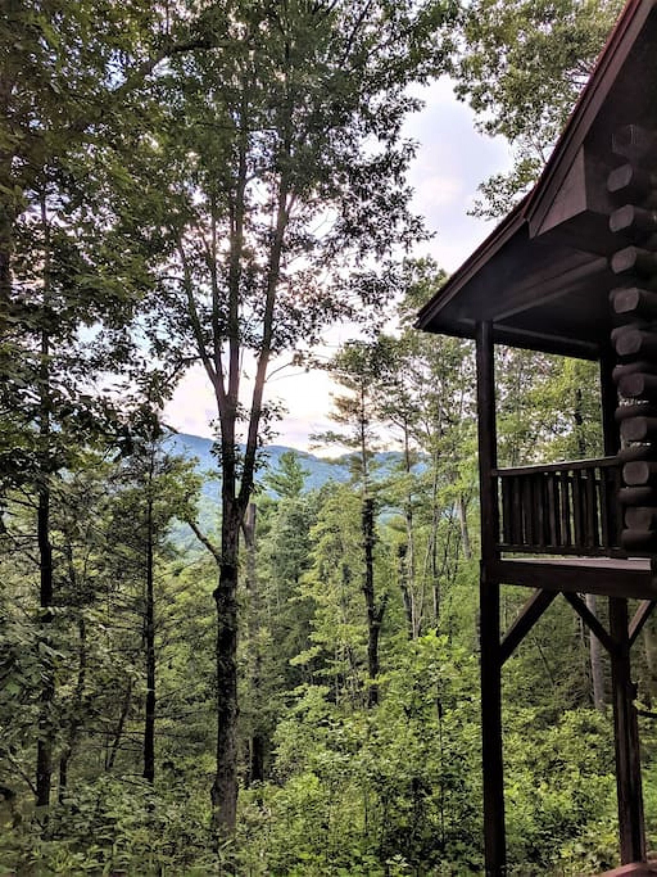 A wooden cabin with a balcony overlooking a dense forest and mountains in the distance.