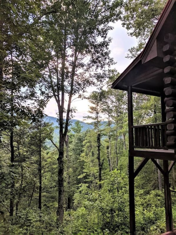 A wooden cabin with a balcony overlooking a dense forest and mountains in the distance.