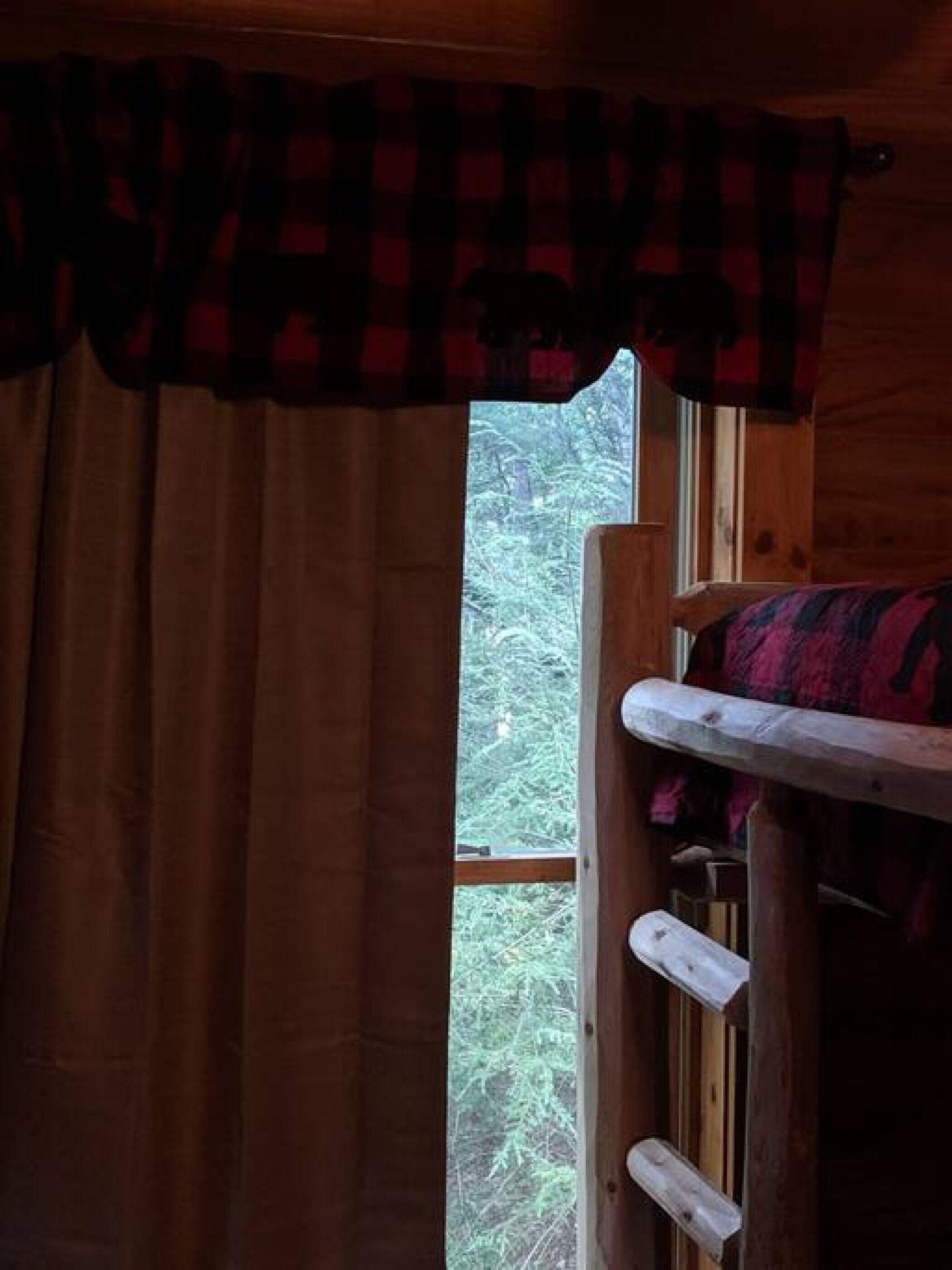 A wooden bunk bed with a red and black checkered blanket, a window with a view of trees, and a brown curtain.