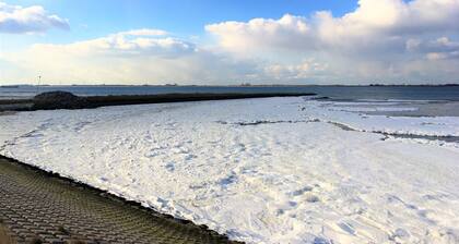 The Pearl of Zeeland. With sauna and a view of the water.