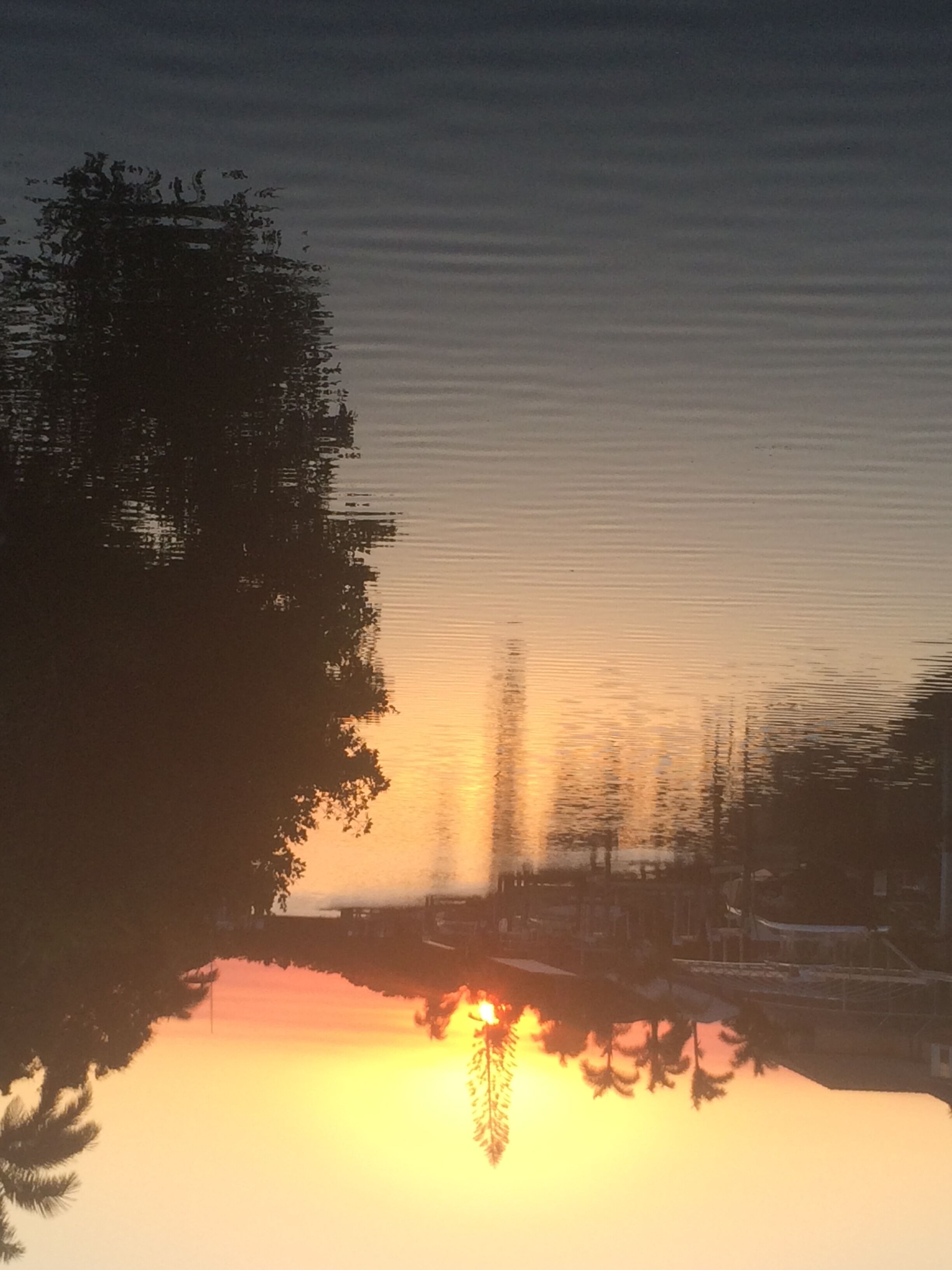 Een zonsondergang boven een rustig wateroppervlak, met silhouetten van bomen en een gebouw in de verte.