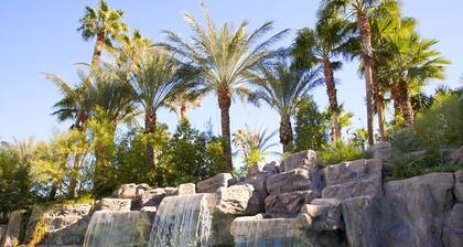 Wrangler National Finals Rodeo (Dec 8-15)