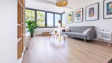 Smart TV, books, music library, video library