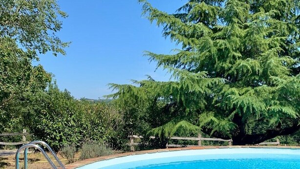 Une piscine d’un bleu éclatant, bordée d’une margelle en briques, avec une clôture en bois et une végétation luxuriante en arrière-plan.