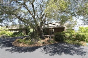 A house with a large tree in front, a driveway, and a well-maintained lawn.