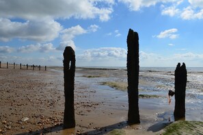 Vlak bij het strand