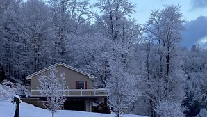 Une maison dotée d’un balcon, entourée d’arbres couverts de neige et surplombant un paysage vallonné.