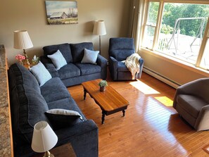 Smart-TV, DVD-Player, Bücher, Videothek