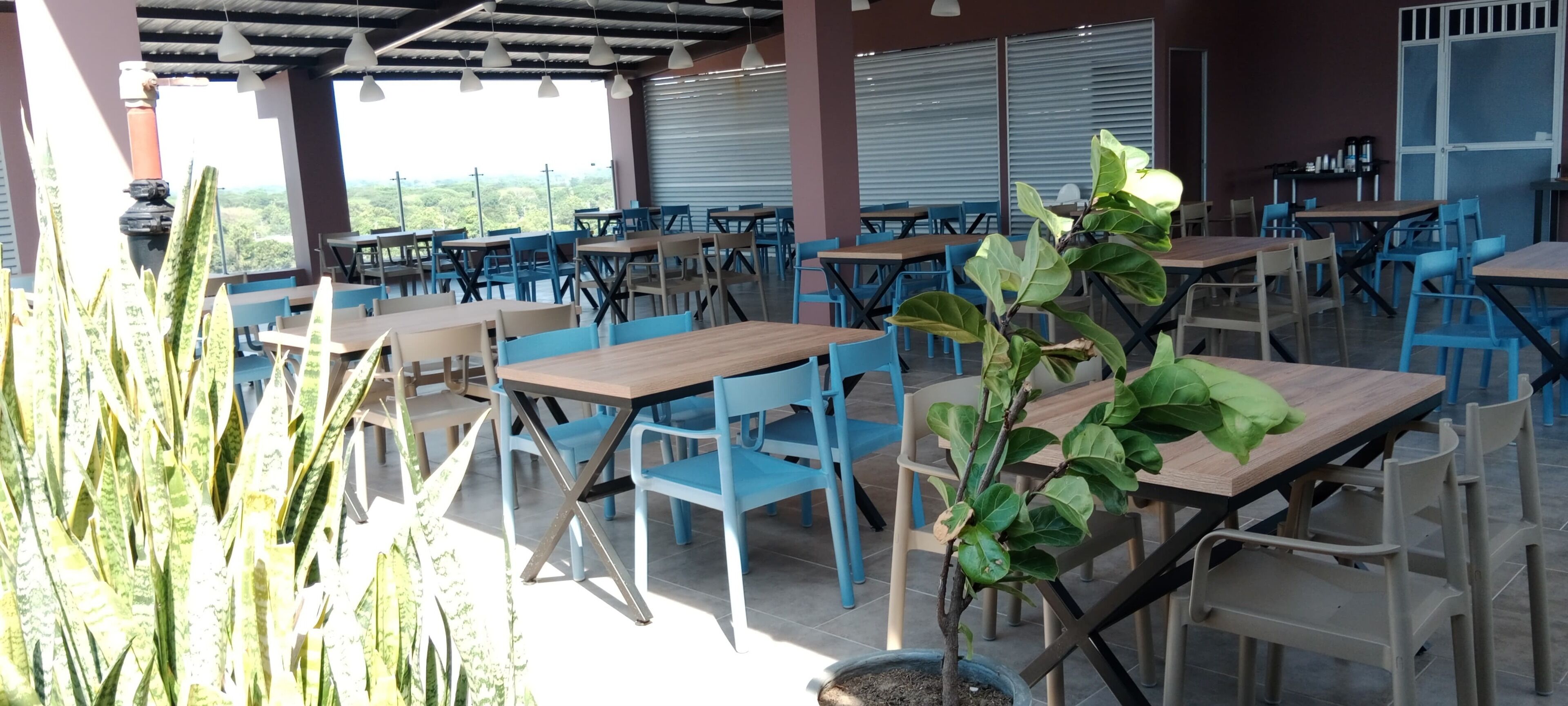 An outdoor seating area with tables and chairs, surrounded by potted plants.