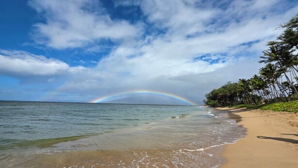 A beach with a rainbow over the ocean, palm trees, and a clear sky.