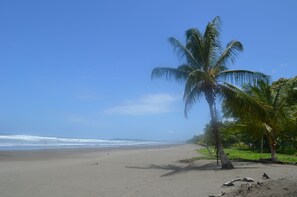 Beach nearby, sun loungers, beach towels