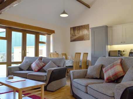 TV, fireplace. Cider Press Barn - UK12379