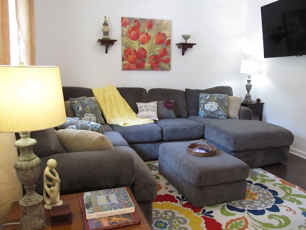 TV, fireplace, video games, books