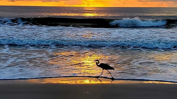 A beach with waves and a sunset. -  Sleeps 12•Huge PrivateDeck•Beach Gear•Pool Table•Steps to Ocean•Trailer parking (Ormond Beach)