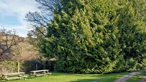 A grassy area with picnic tables and a large tree. - 2 bedroom accommodation in Widecombe-in-the-Moor, near Bovey Tracey (Widecombe-in-the-Moor, near Bovey Tracey)
