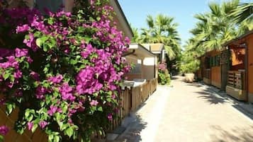 2 bilik tidur, langsir/tirai gelap terus, Wi-fi percuma, cadar katil