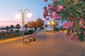 Terrace/patio - Il Gelso di Sofia (Tortoreto)