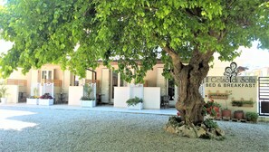 Una entrada bordeada de árboles a un hospedaje con mesas al aire libre y plantas en macetas.