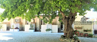 Il Gelso di Sofia