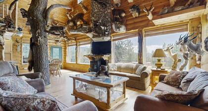 Secluded hunting lodge with amazing mounted collection, deck & firepit - dogs OK